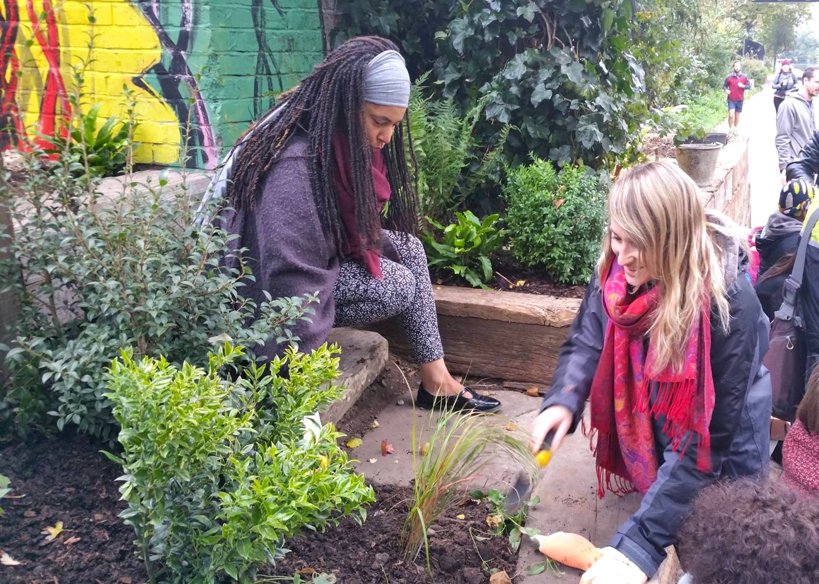 community garden